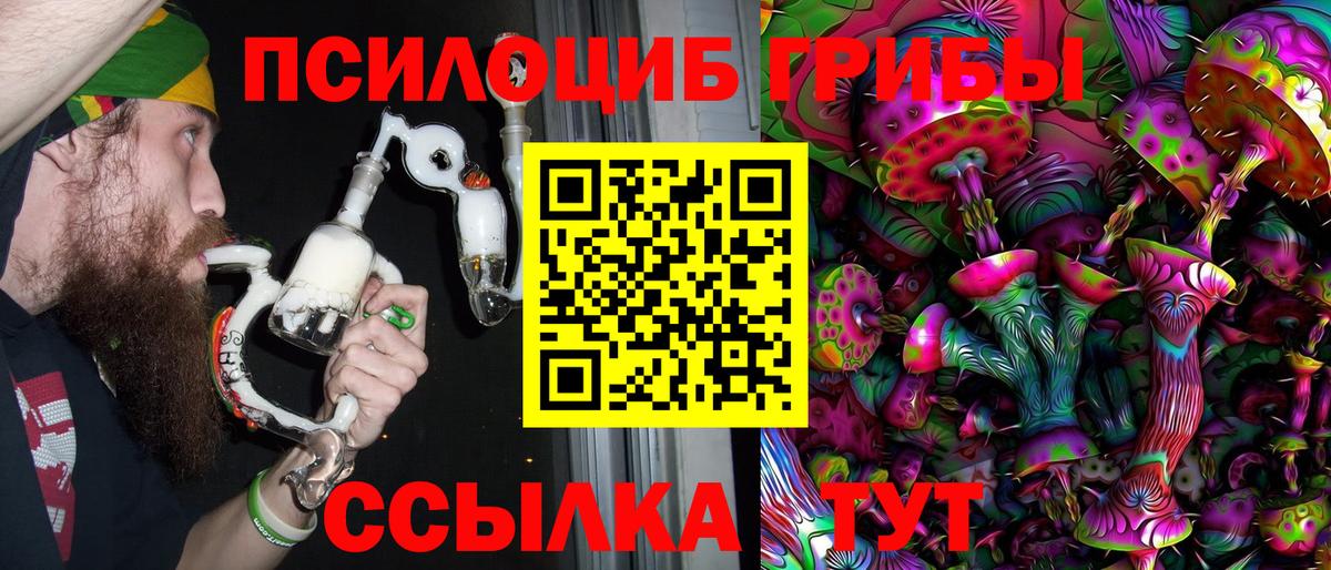 Галлюциногенные грибы Psilocybine cubensis Ликино-Дулёво